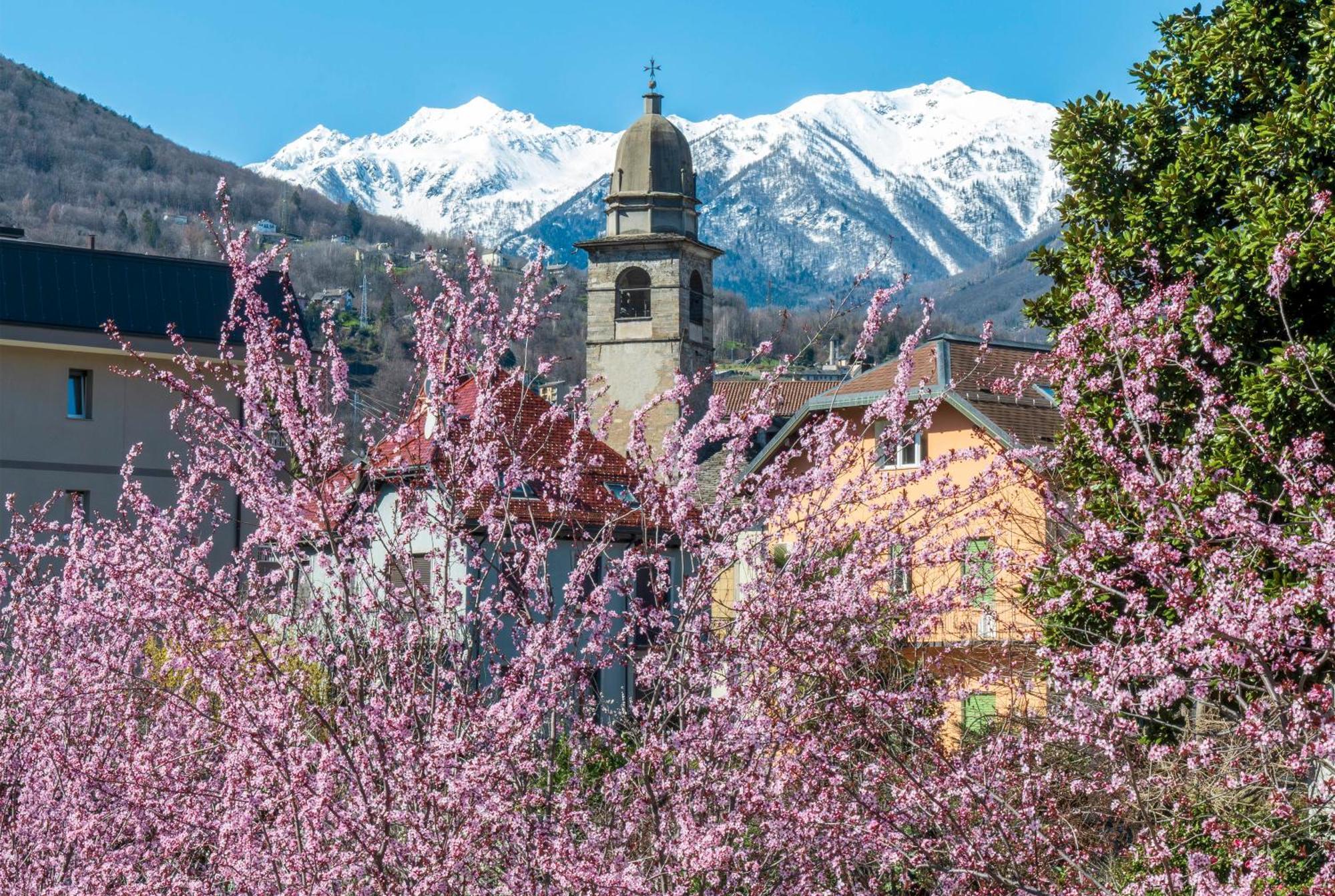 Palazzo Pellanda Apartman Domodossola Kültér fotó